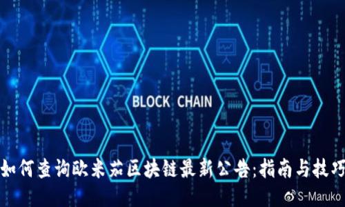 如何查询欧米茄区块链最新公告：指南与技巧