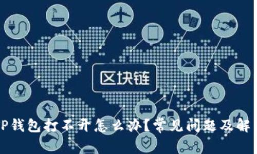我的TP钱包打不开怎么办？常见问题及解决方案