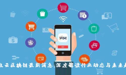 刘晓云区块链最新消息：深度解读行业动态与未来趋势