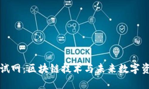 TP钱包测试网：区块链技术与未来数字资产的桥梁
