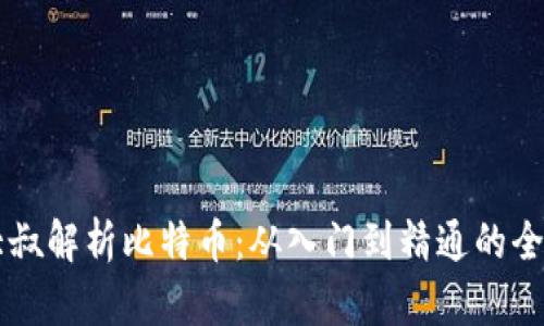 区块链大叔解析比特币：从入门到精通的全方位指南