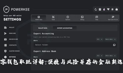 数字钱包取现详解：便捷与风险并存的金融新选择