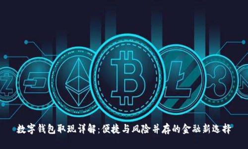 数字钱包取现详解：便捷与风险并存的金融新选择