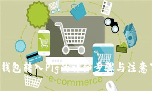  TP钱包转入Pig的详细步骤与注意事项