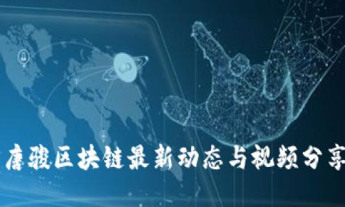 唐骏区块链最新动态与视频分享