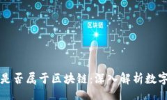 nodiv有钱包的币是否属于区