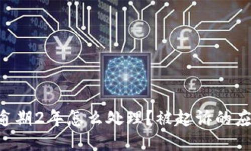 u钱包逾期2年怎么处理？被起诉的应对指南