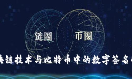 区块链技术与比特币中的数字签名解析