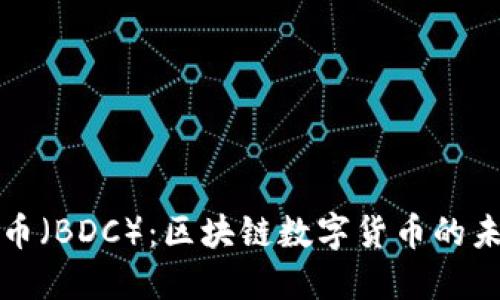 探索迪拜币（BDC）：区块链数字货币的未来与潜力