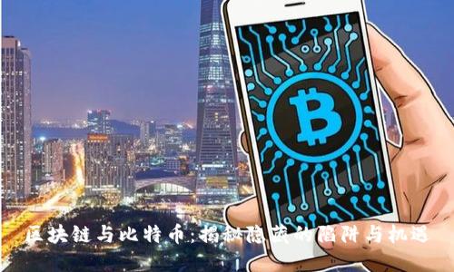 区块链与比特币：揭秘隐藏的陷阱与机遇