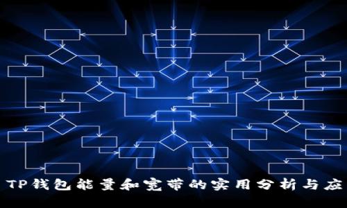 : TP钱包能量和宽带的实用分析与应用